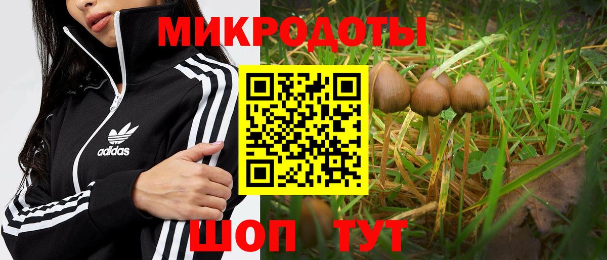 Псилоцибиновые грибы GOLDEN TEACHER  Вход с VPN  даркнет сайт  Евпатория 